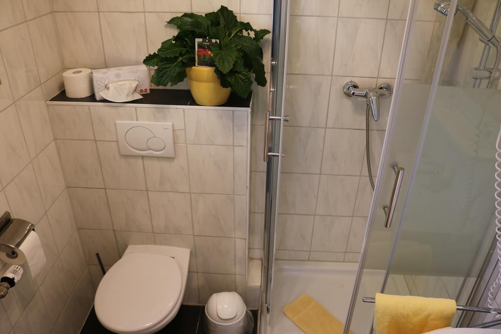 Hotel Brigitte Bad Krozingen Eksteriør billede